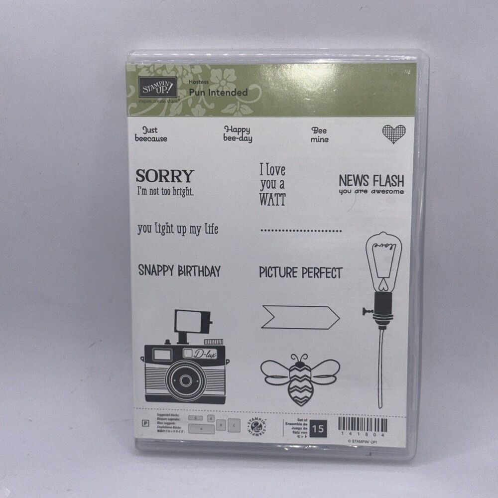 Stampin Up Stamp Set PUN INTENDED Retired Sets photography bee funny punny